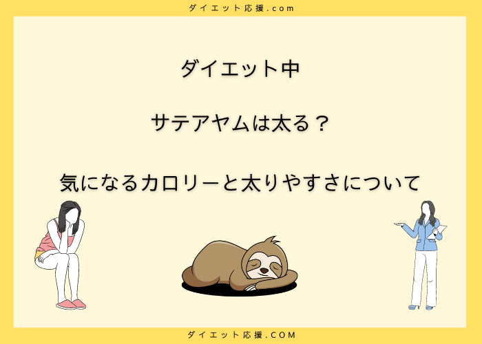 サテアヤムのカロリーと栄養を徹底分析！ダイエット中の適量は？