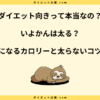 いよかんは太る？ダイエット中の注意点とカロリーや糖質を解説！