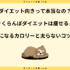 さくらんぼダイエットは痩せる？太る原因と一粒のカロリーを解説！