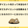 すだちダイエットは効果ある？太る原因と痩せるやり方を解説！