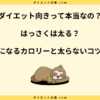 はっさくは太る？ダイエット中の太らない食べ方とカロリーを解説！