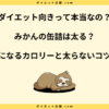 みかんの缶詰のカロリーは？太る原因やダイエット中の太らない食べ方を解説！