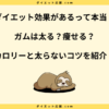 ガムで太る理由を解説！痩せたって本当？ダイエット効果はあるの？