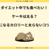 ケーキは太る？太らない食べ方や注意点とカロリー低い順を紹介！