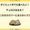 チュロスは太る？脂質が多い理由と太らないための注意点を解説！