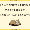 ネクタリンは太る？カロリーや糖質とダイエット中の太らない食べ方