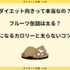 フルーツ缶詰は太る？カロリーや糖質とダイエット中の太らない食べ方！