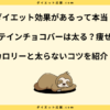 プロテインチョコバーは太る？ダイエット中に食べるコツと注意点！