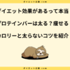 プロテインバーは太る？食べ続けた結果とは！？ダイエット中に食べるコツ！