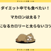 マカロンは太る？太らない食べ方とダイエット中に気をつける脂質について