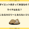 ライチはダイエット向き？太る原因とカロリーや糖質について解説！