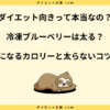 冷凍ブルーベリーダイエットは太る？砂糖が入ってるって本当？太らないやり方！