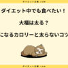 大福は太る？太らない食べ方やカロリーとダイエット中の注意点を解説！