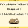 干し梅は太る？ダイエット中の太らない食べ方と注意点を解説！