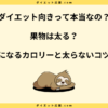 果物は太る？痩せる果物と太る果物の違いや太るランキングを解説！