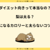 梨は太る？カロリーや糖質とダイエット中の太らない食べ方を解説！