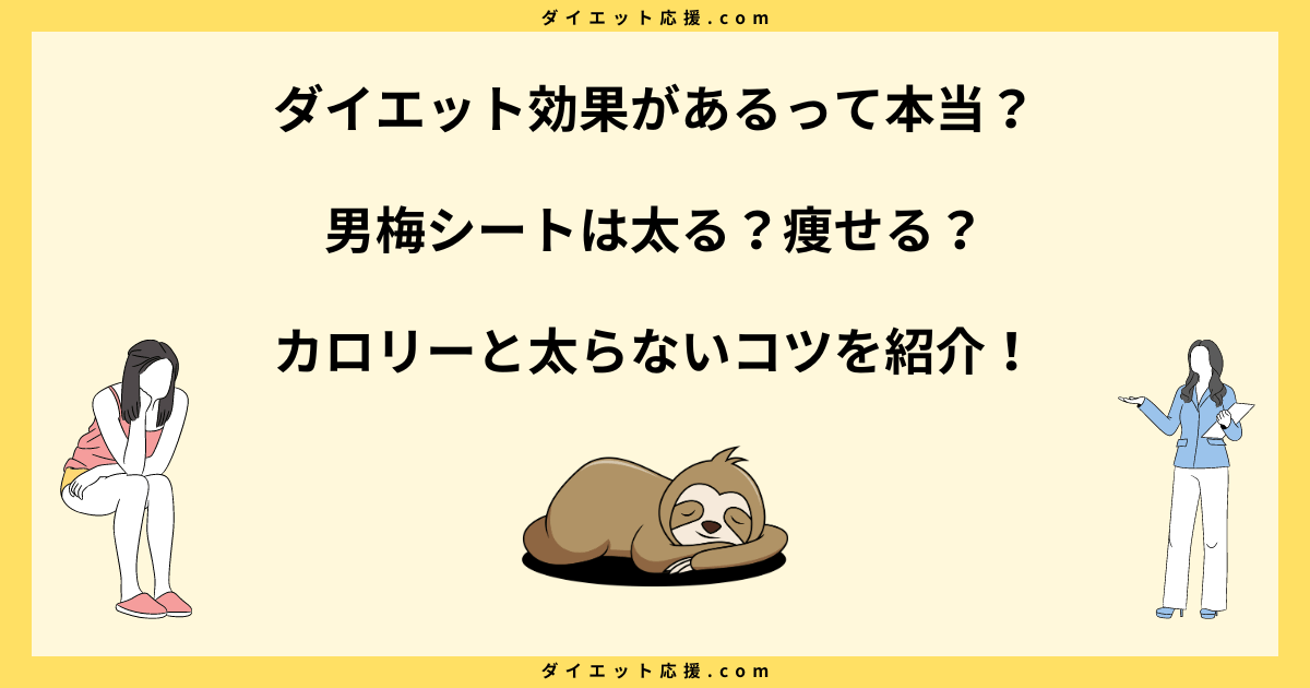 男梅シートは太る？食べ過ぎの量やダイエット中の食べ方を解説！