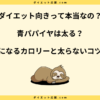 青パパイヤはダイエット向き？食べ過ぎで太る原因や糖質について解説！