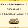 うどんは太る？ダイエット中毎日はだめな理由と注意点