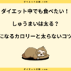 しゅうまいは太る？ダイエット中に太らない食べ方