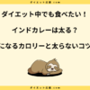 インドカレーは太る？痩せる？カロリー一覧と太らない食べ方