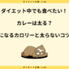 カレーは太る？太らない食べ方とご飯なしのカロリーを紹介