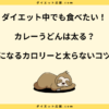 カレーうどんは太る？汁飲まないカロリーや脂質とダイエット中の食べ方