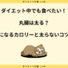 丸腸は太る？脂質とカロリーで太らない食べ方のポイント