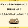 卵焼きは太る？ダイエットに不向き？カロリー高いのに太らない方法