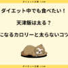 天津飯は太る？タンパク質と脂質バランスや太らない食べ方を解説！