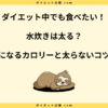 水炊きは太る？水炊きダイエット1ヶ月の効果と太らないコツ